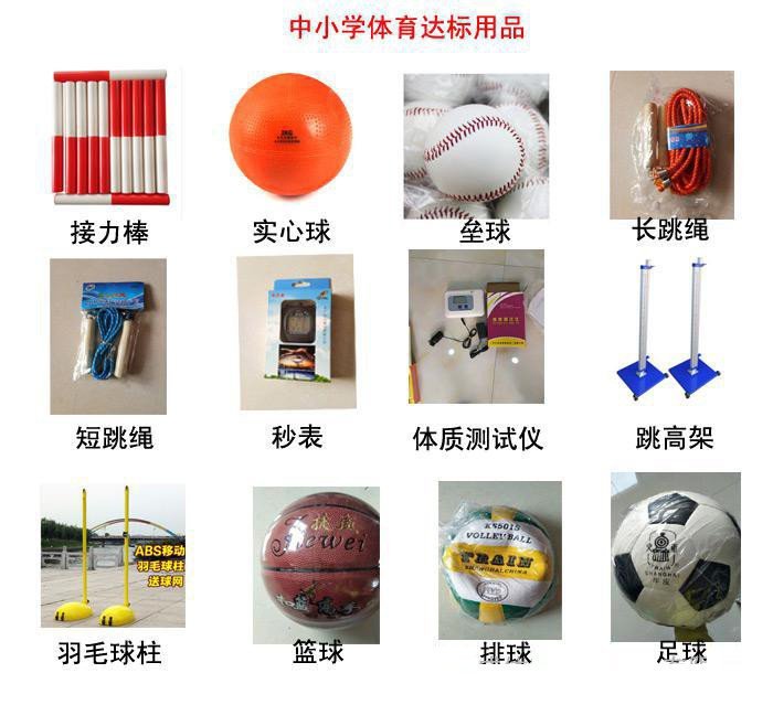 河北省2018中小學(xué)體音美器材價(jià)格與批發(fā)指南 廠家直銷助力學(xué)校達(dá)標(biāo)